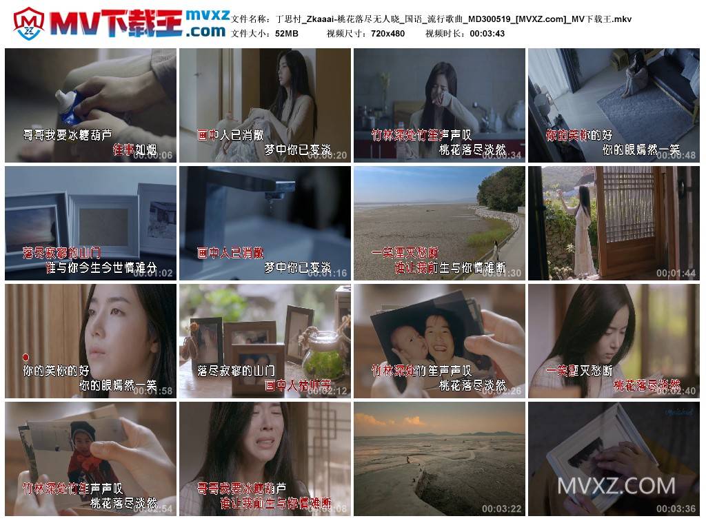 丁思忖_Zkaaai-桃花落尽无人晓_国语_流行歌曲_MD300519